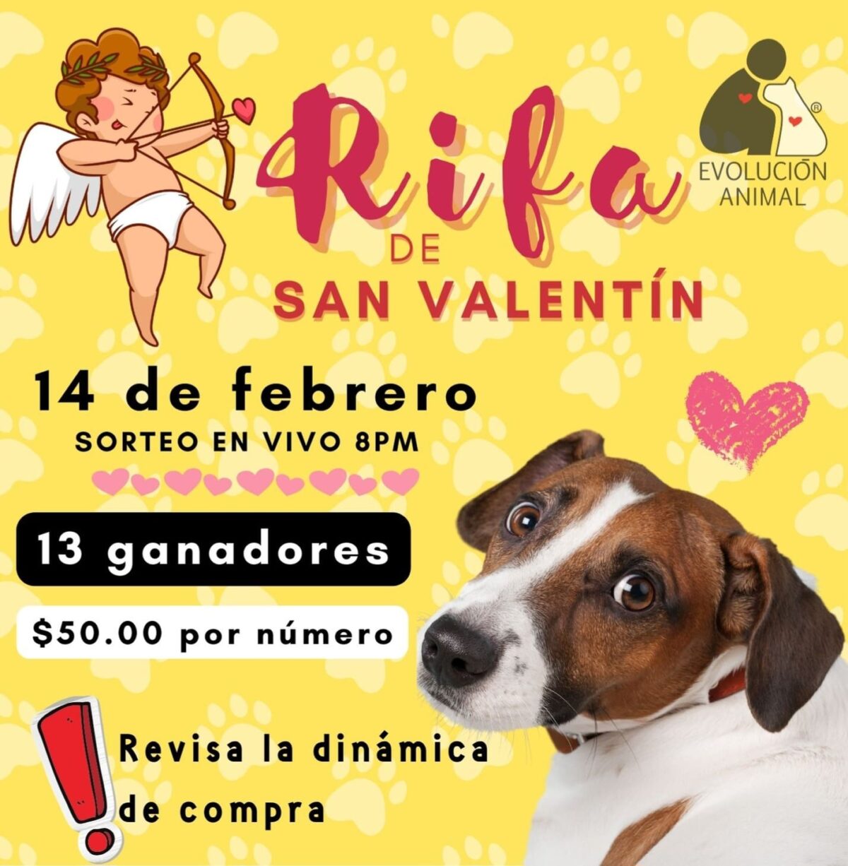 Invitan a unirse a la rifa de San Valentín de Evolución A.C ...