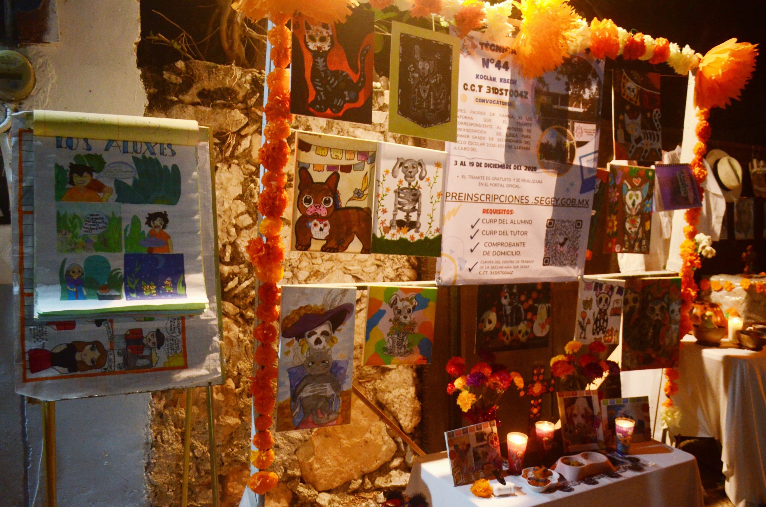 WhatsApp Image 2025-11-01 at 14.42.37