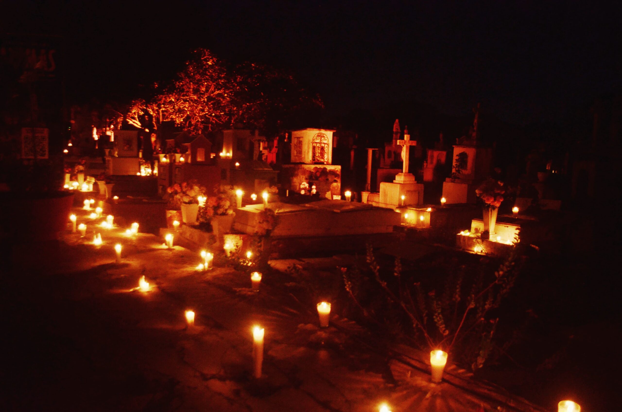 WhatsApp Image 2025-11-01 at 14.42.39 (4)