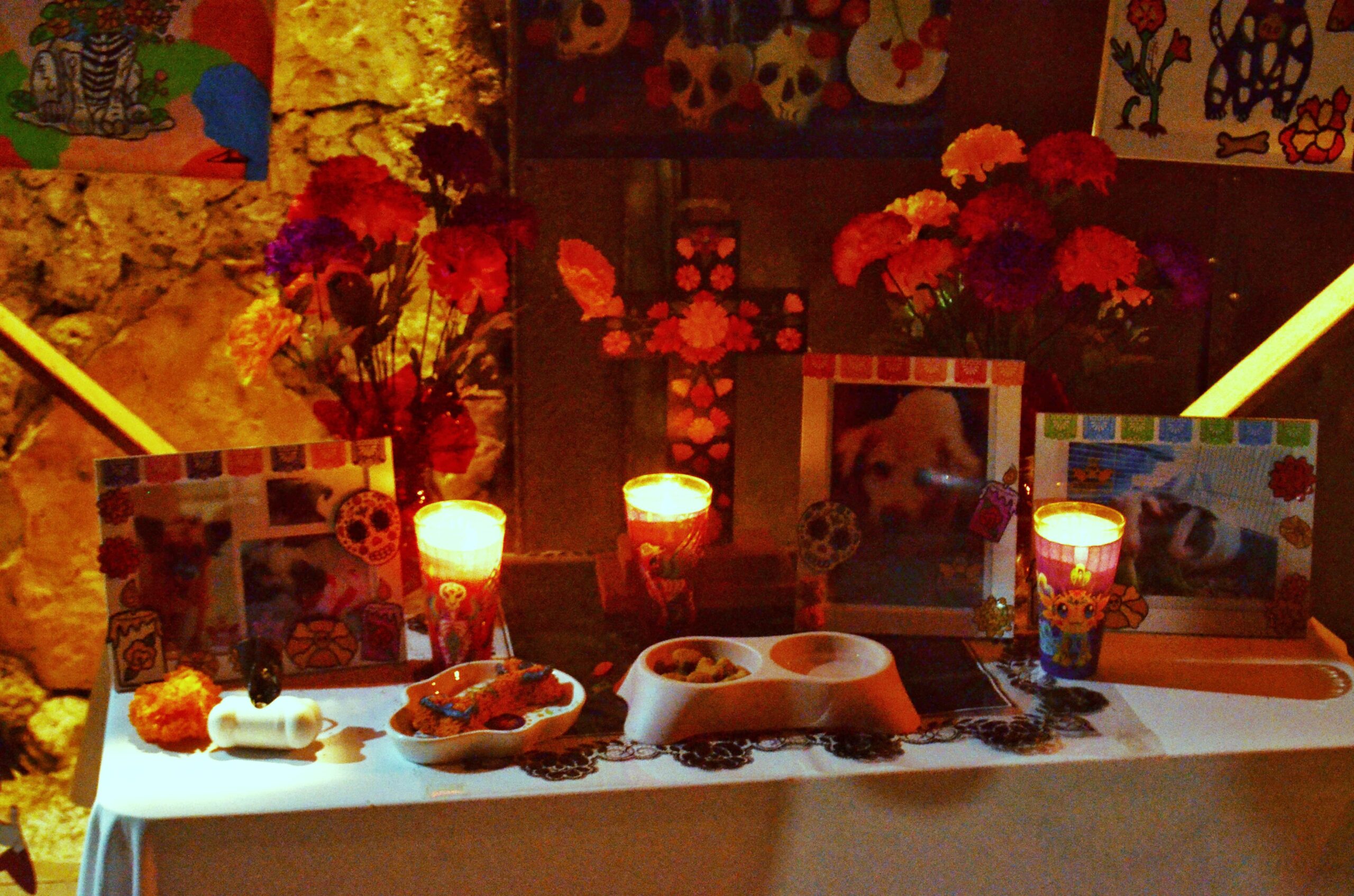 WhatsApp Image 2025-11-01 at 14.42.39