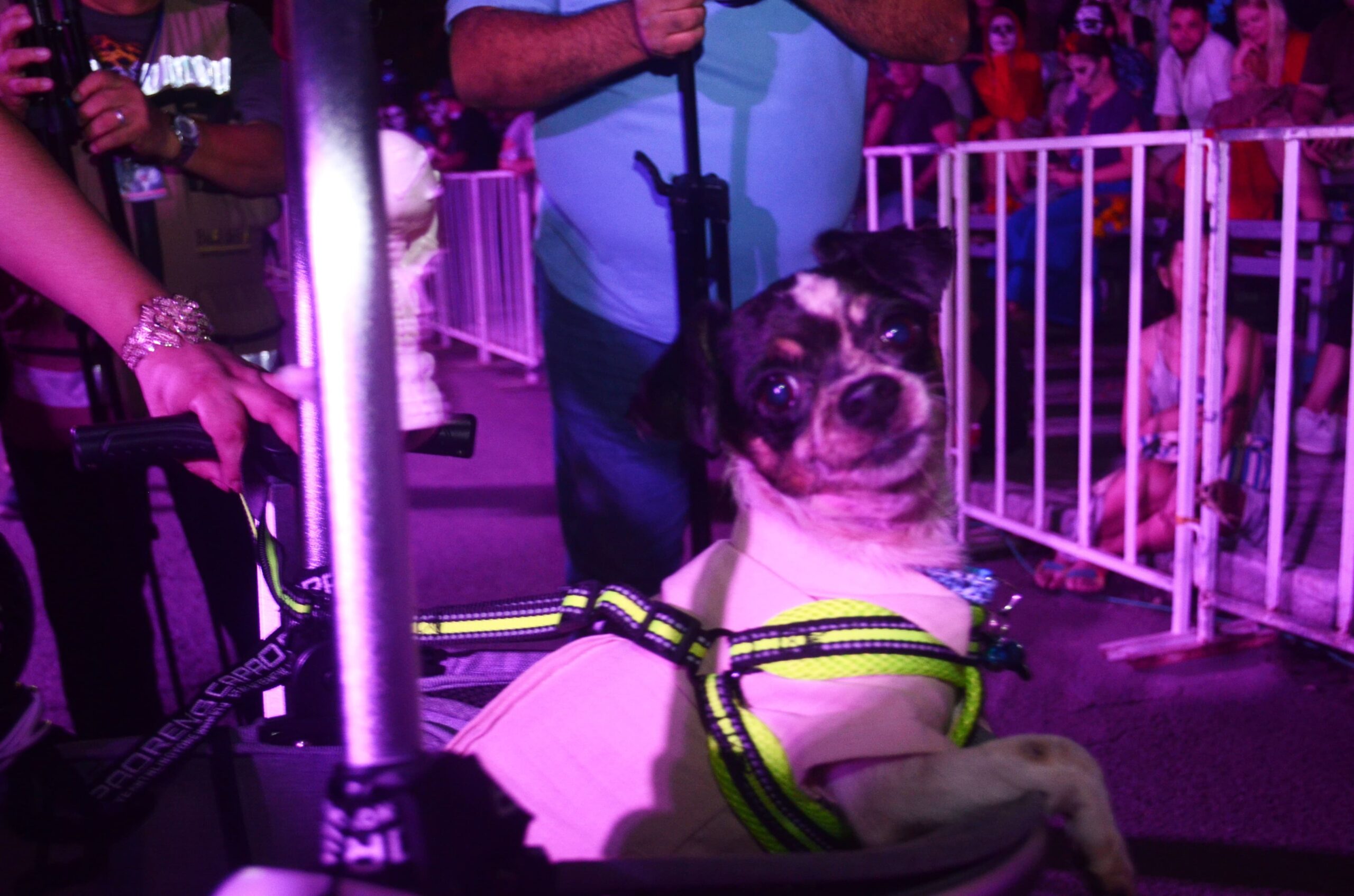 WhatsApp Image 2025-11-01 at 14.42.41