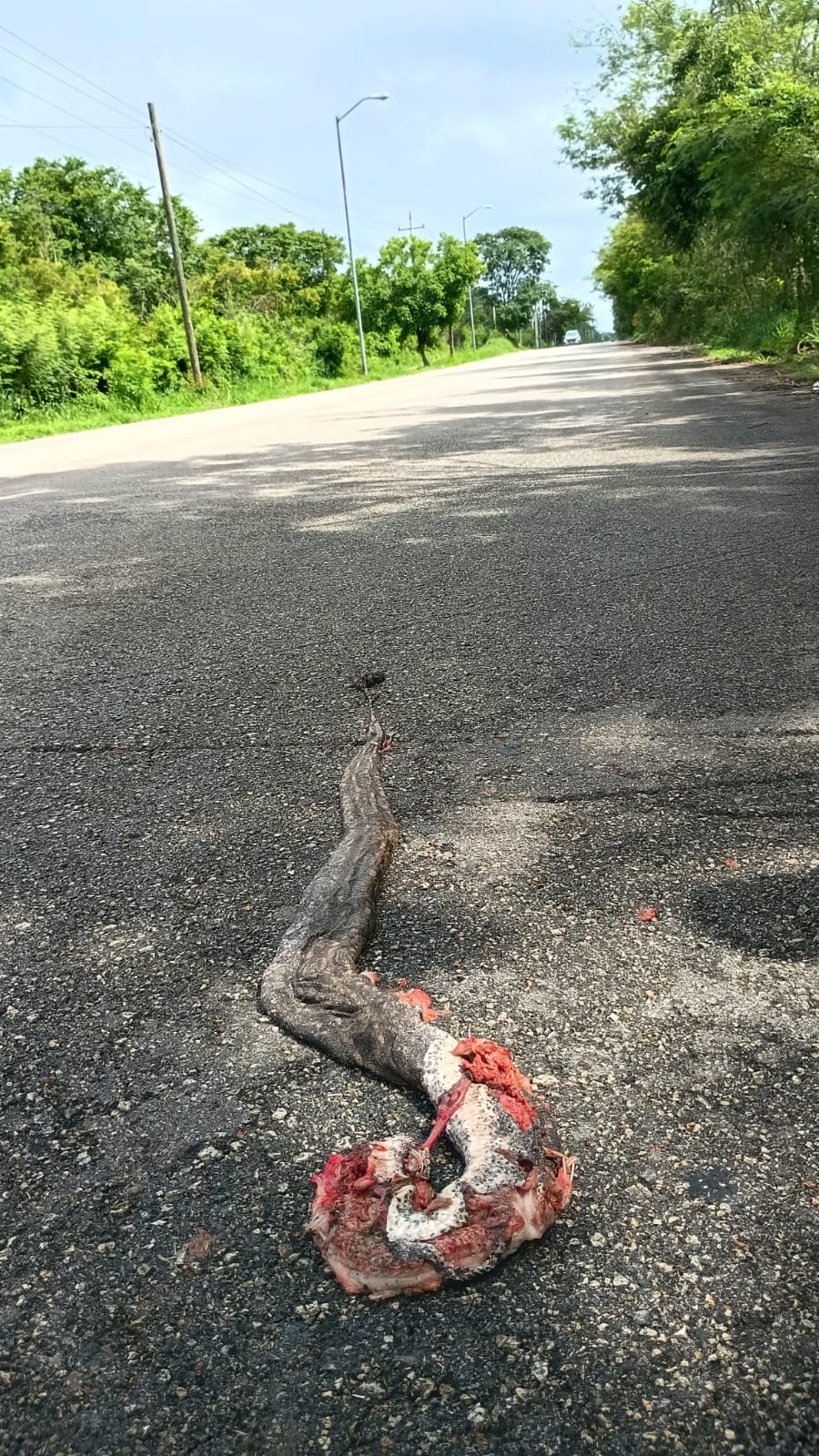 Imagen de WhatsApp 2025-08-14 a las 09.44.29_668502fa