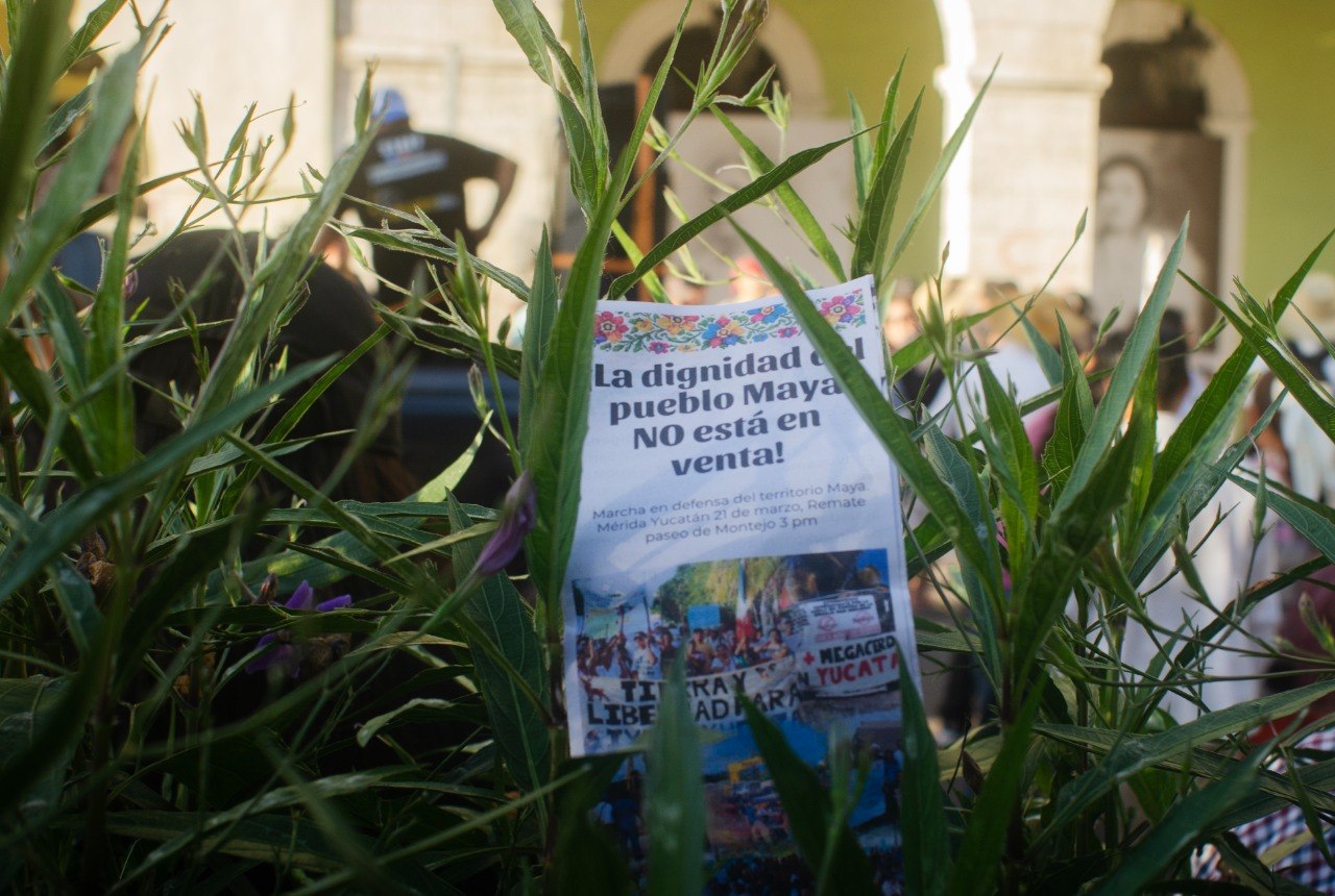 photo_2026-03-22 08.08.54