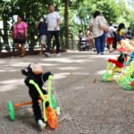 el monito que se escapo