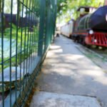 tortuguita y tren